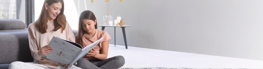 brique auto-isolante climamur centre de téléchargement