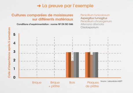 Culture moisissure sur Climamur