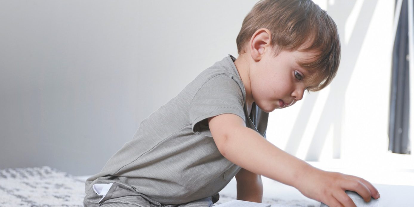 la composition de la brique Climamur