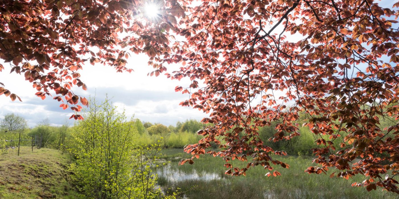 Slideshow together sustainable 3