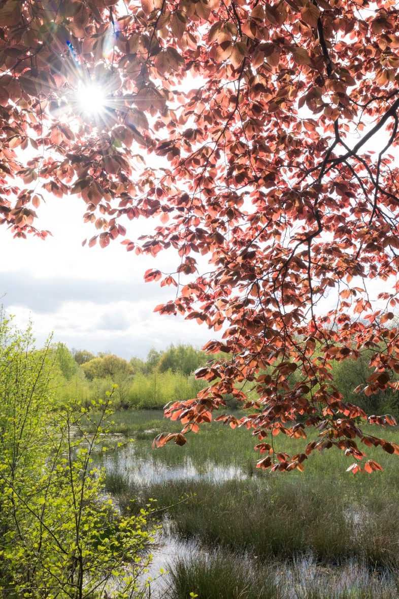 Slideshow together sustainable 3