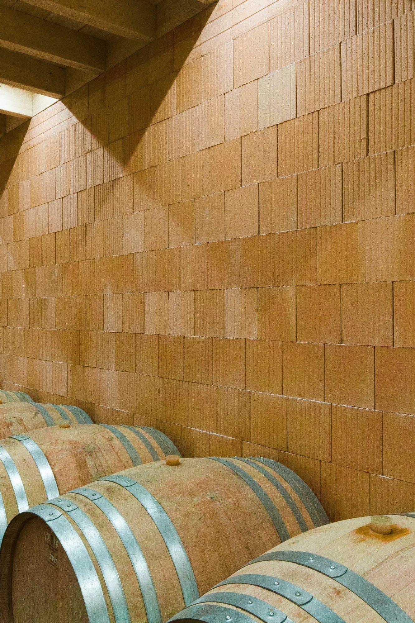 Domaine viticole Jean-Pierre MICHEL, 955 route le Quintaine Lieu-dit Quintaine 71260 CLESSE. Briques de structure Climamur 30.